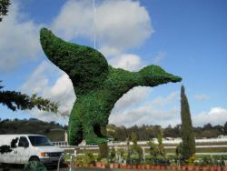Flying Duck Frame Topiary with Moss 13 inches tall